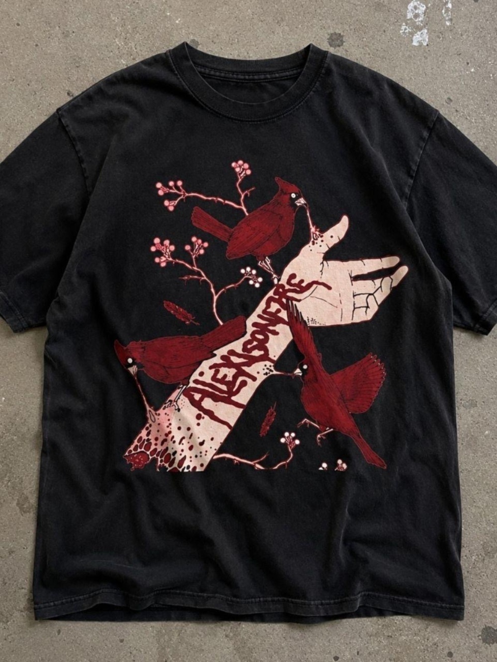 Gildan Black Tee with Red Cardinal Hand Graphic